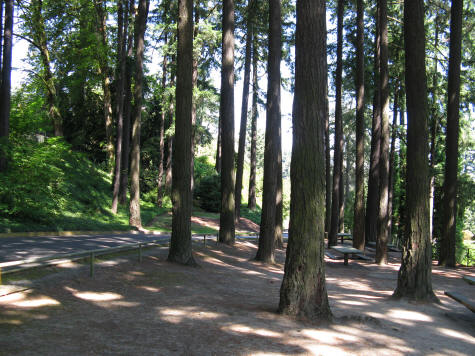 Washington Park in Portland OR